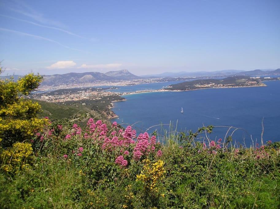 Villa De Charme A 5 Mn Plage La Seyne-sur-Mer Exterior photo